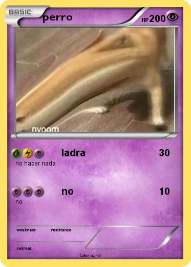 Pokemon perro