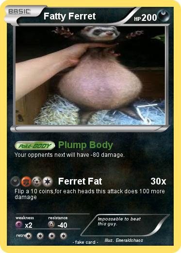 Pokemon Fatty Ferret