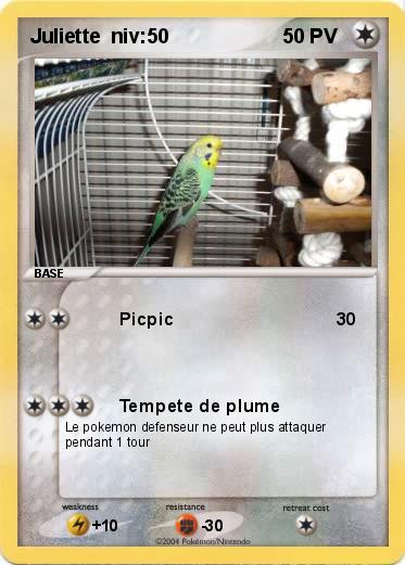 Pokemon Juliette  niv:50