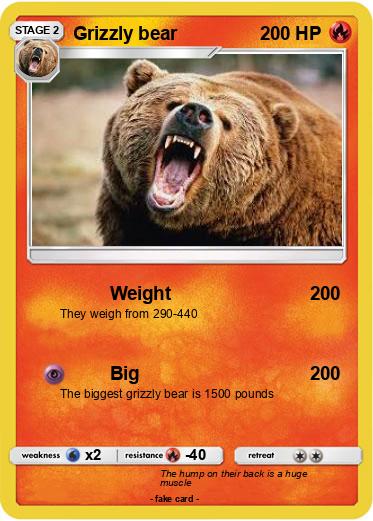 Pokemon Grizzly bear