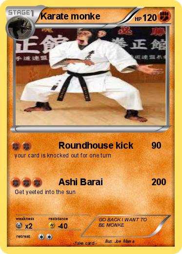 Pokemon Karate monke