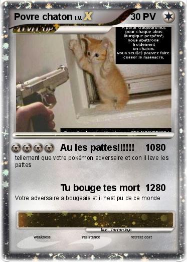 Pokemon Povre chaton