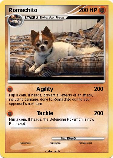 Pokemon Romachito