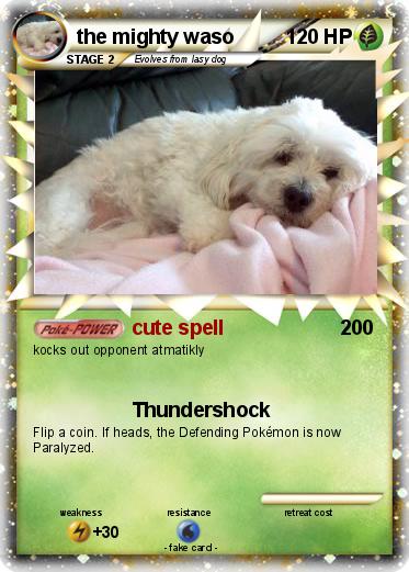 Pokemon the mighty waso
