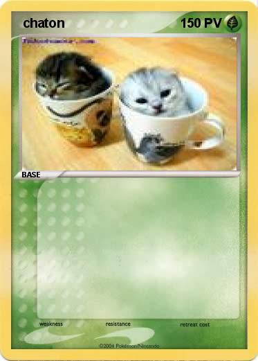 Pokemon  chaton
