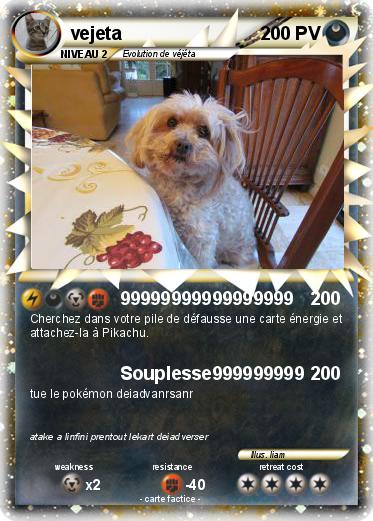 Pokemon vejeta