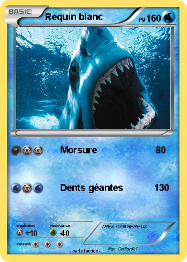 Pokemon Requin blanc