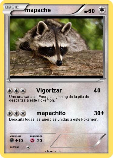 Pokemon mapache