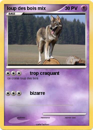 Pokemon loup des bois mix