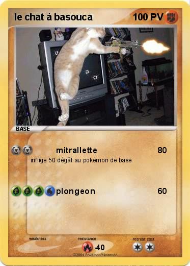 Pokemon le chat à basouca