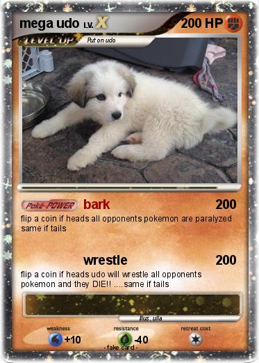 Pokemon mega udo