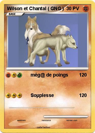 Pokemon Wilson et Chantal ( GNG )