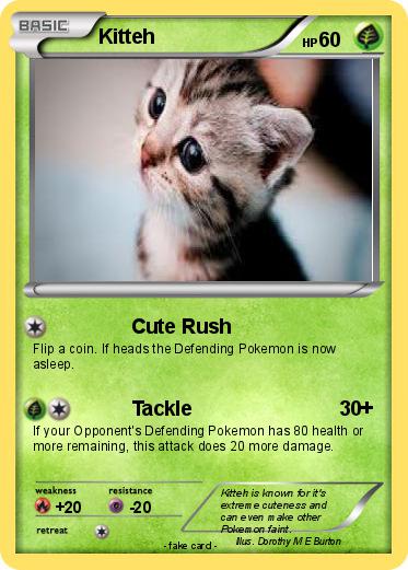 Pokemon Kitteh