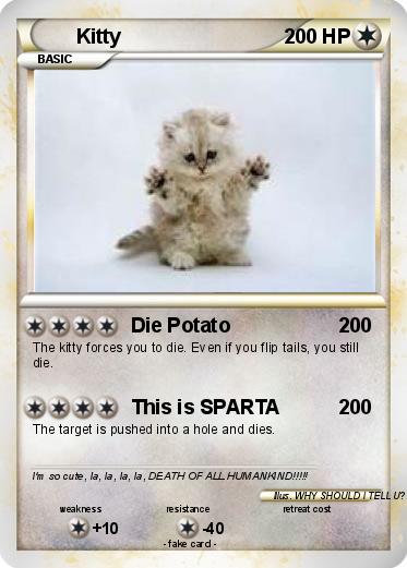 Pokemon Kitty