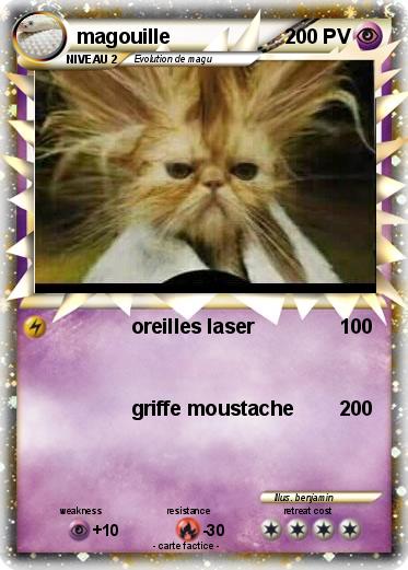 Pokemon magouille