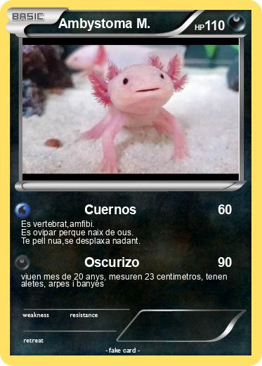 Pokemon Ambystoma M.