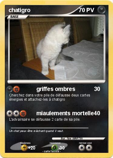 Pokemon chatigro