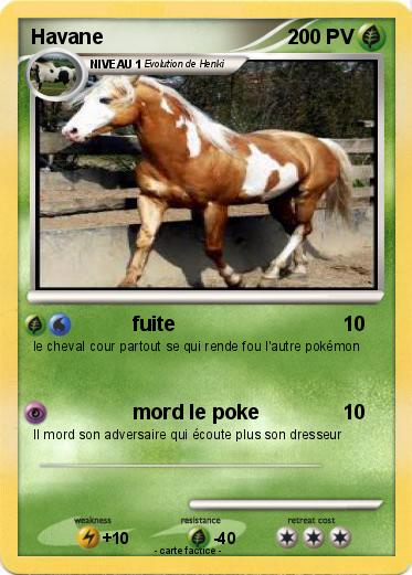 Pokemon Havane