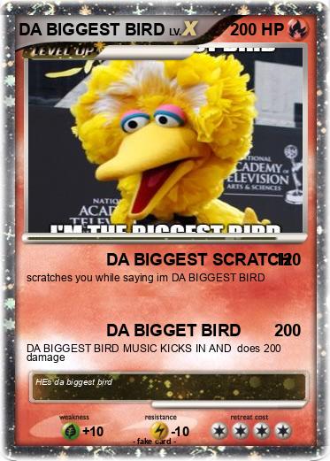 Pokemon DA BIGGEST BIRD