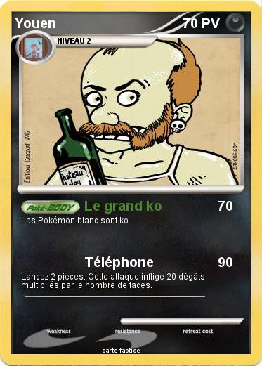 Pokemon Youen