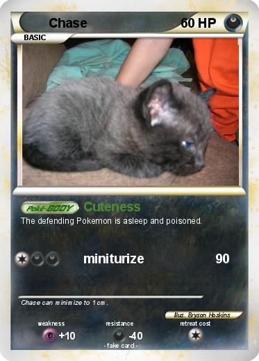 Pokemon Chase