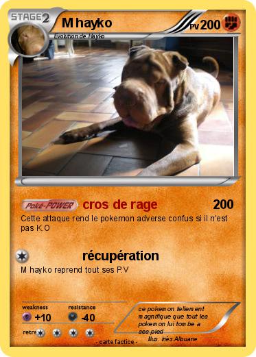 Pokemon M hayko