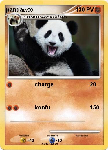 Pokemon panda