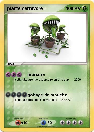 Pokemon plante carnivore