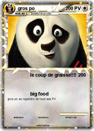 Pokemon gros po