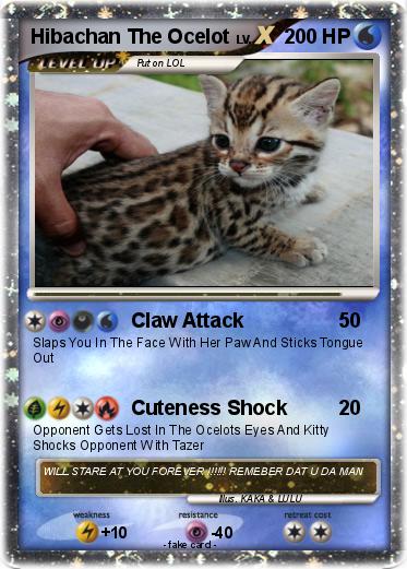 Pokemon Hibachan The Ocelot