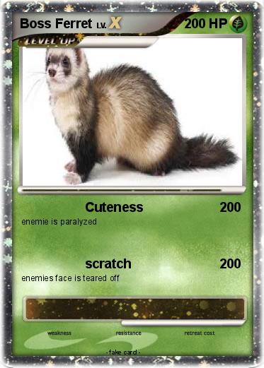 Pokemon Boss Ferret