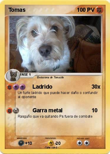 Pokemon Tomas