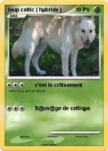 Pokemon loup celtic ( hµbride )