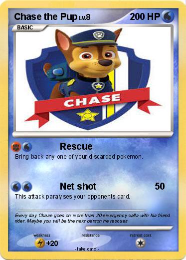 Pokemon Chase the Pup