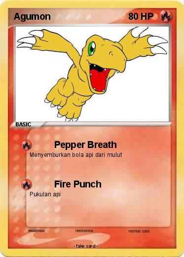 Pokemon Agumon