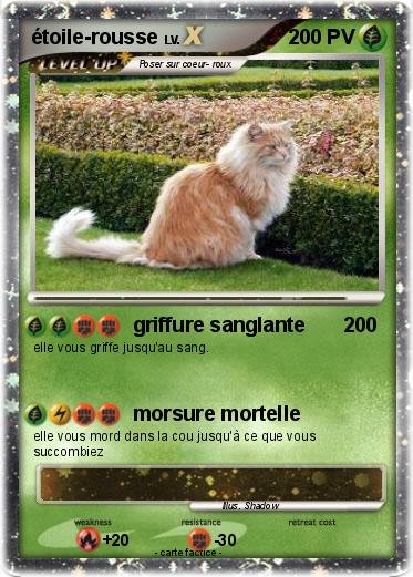 Pokemon étoile-rousse