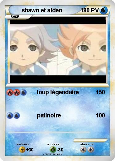 Pokemon shawn et aiden