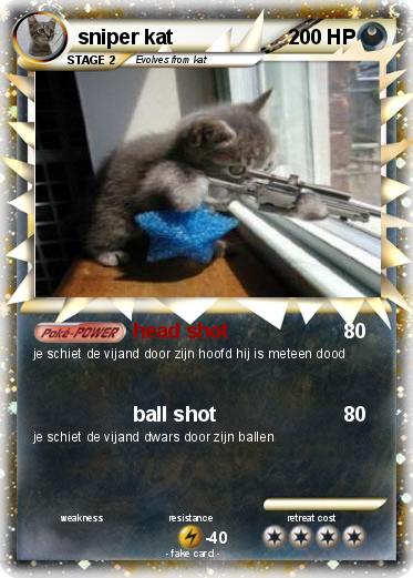 Pokemon sniper kat
