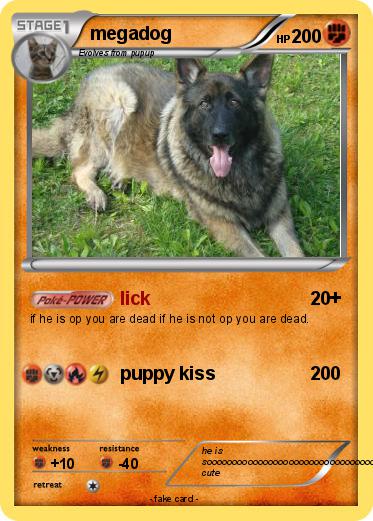 Pokemon megadog