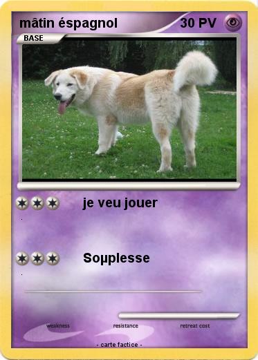 Pokemon mâtin éspagnol