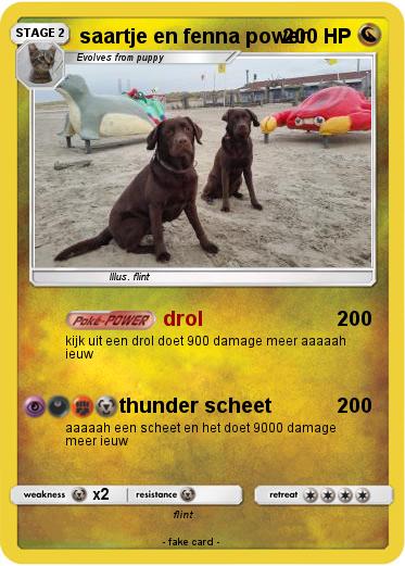 Pokemon saartje en fenna power