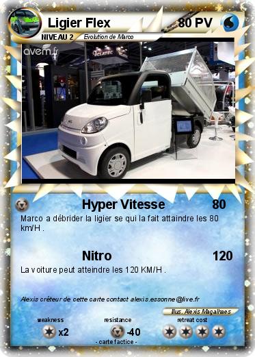 Pokemon Ligier Flex