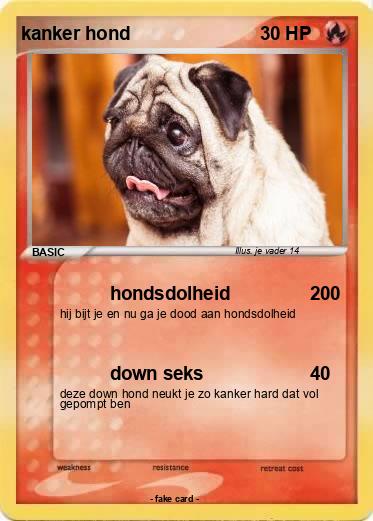 Pokemon kanker hond