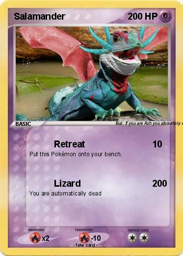 Pokemon Salamander