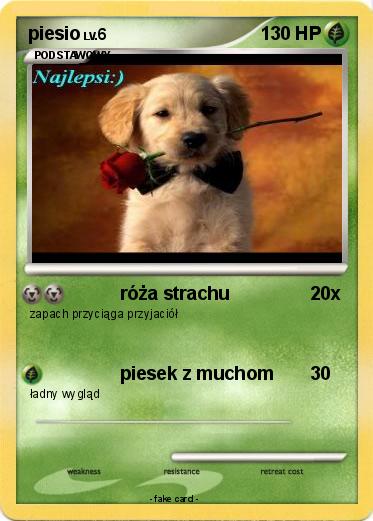 Pokemon piesio
