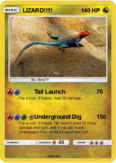 Pokemon LIZARD!!!!!