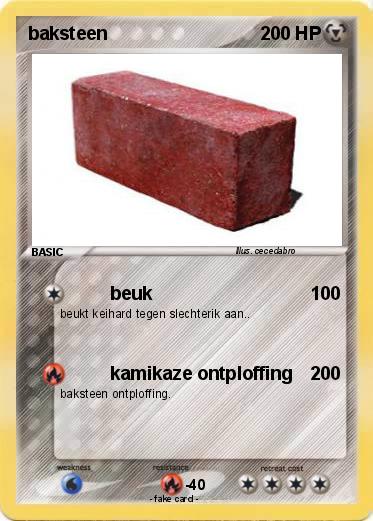 Pokemon baksteen