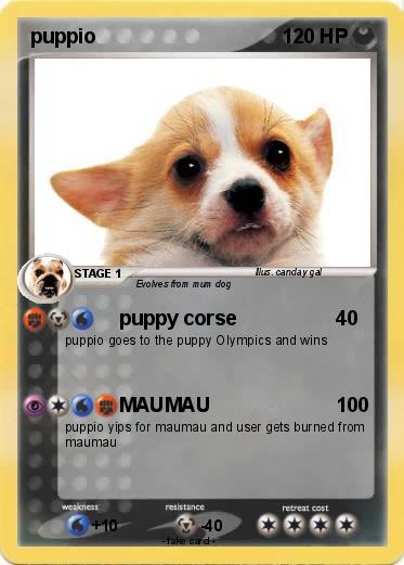 Pokemon puppio