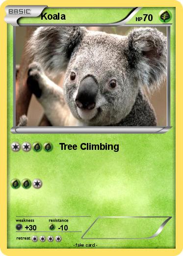 Pokemon Koala