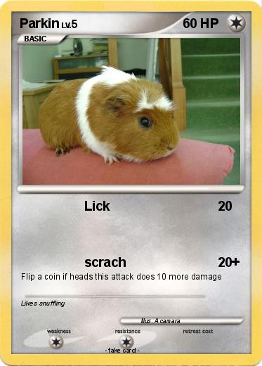 Pokemon Parkin